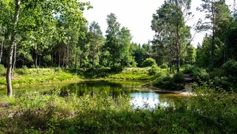 BUND: ++ Ökotipp: Hinaus ins Grüne – Worauf achten im Wald und an Gewässern? ++