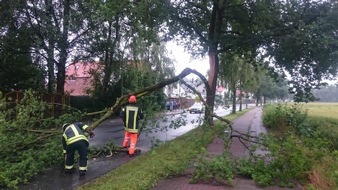 FW-WRN: Baum auf Straße im Fürstenhof