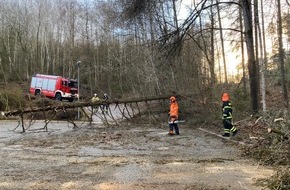 Feuerwehr Iserlohn: FW-MK: Umgestürzte Bäume durch Windböen