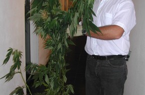 Polizeiinspektion Nienburg / Schaumburg: POL-STH: (ber) Cannabispflanzen sichergestellt !