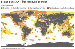 Marine Stewardship Council (MSC): Ernüchternde Zwischenbilanz für SDG 14 - Leben unter Wasser