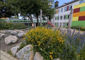 Deutschland summt!-Pflanzwettbewerb: Beste Naturgartenprojekte 2026 ausgezeichnet