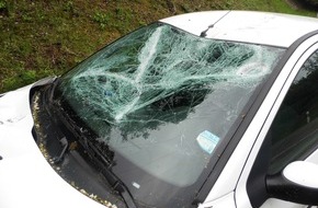 Polizeipräsidium Westpfalz: POL-PPWP: Ohne Führerschein, mit Promille