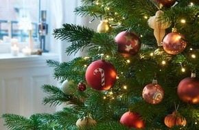 edding Gruppe: Weihnachten kann kommen - die schönsten Ideen für ein festliches Zuhause