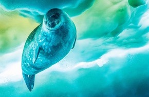 ZDF: "Sieben Kontinente - Ein Planet": Großer dokumentarischer Mehrteiler von ZDF und BBC (FOTO)