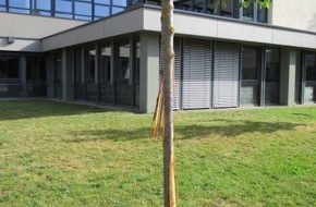 Polizeipräsidium Offenburg: POL-OG: Offenburg - Rinde an Bäumen entfernt, Zeugen gesucht