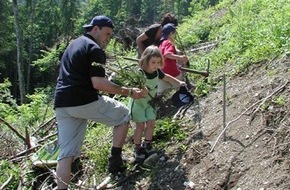 Emmi Schweiz AG: Emmi pflanzte Schutzwald am Stanserhorn