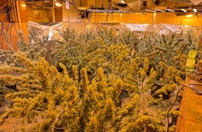 Kreispolizeibeh&ouml;rde Soest: POL-SO: Cannabisplantage in ehemaliger Gastst&auml;tte