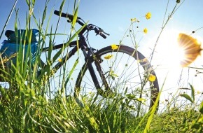 SFZ Schweizerische Fachstelle für Zweiradfragen: Fachstelle für Zweiradfragen: Tipps für die neue Velosaison (Bild)