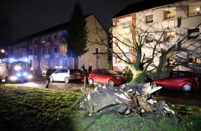 Feuerwehr Bochum: FW-BO: Sturmtief "Sabine": Vorläufige Abschlussbilanz der Feuerwehr Bochum