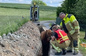 Feuerwehr Dresden: FW Dresden: Verkehrsunfall & Tierrettung