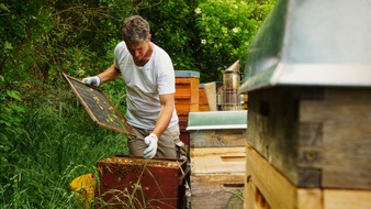 MyHONEY BIO-Imkerei: Bienenpatenschaften für jedermann: MyHONEY-Imkerei erweitert Geschäftsfeld