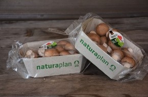 LID Pressecorner: Der Umwelt zuliebe - Neue Verpackung bei Schweizer Bio-Champignons