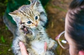 Erlebnispark Tripsdrill: Kuschelige und gefiederte Tierkinder in Tripsdrill