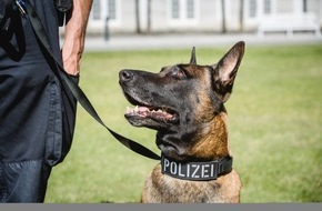 Polizei Rheinisch-Bergischer Kreis: POL-RBK: Bergisch Gladbach - Diensthund fasst Einbrecher auf der Flucht