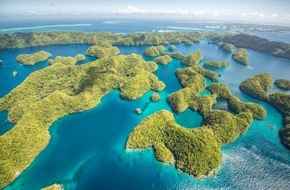 ZDF: "Fischraub in der Südsee": ZDF-Ostasien-Korrespondent Thomas Reichart berichtet für "planet e." über illegale Haijagd (FOTO)