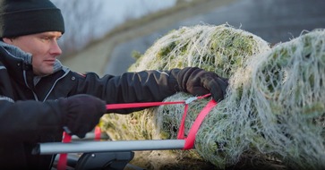 Beim Weihnachtsbaum-Transport drohen Gefahren / ADAC gibt Tipps für sicheren Transport / 60 Euro Bußgeld drohen