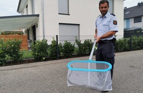 Polizeidirektion Landau: POL-PDLD: Wörth am Rhein - Ringelnatter versetzt Anwohnern einen Schrecken