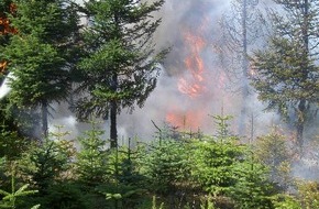 Landesfeuerwehrverband Schleswig-Holstein: FW-LFVSH: Sicherheitstipps zur Wald- und Flächenbrandgefahr durch Hitzewelle der Feuerwehren SH