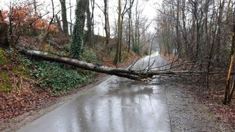 Feuerwehr Heiligenhaus: FW-ME: Verkehrsunfall, Heizölaustritt und umgestürzter Baum (Meldung 4/2016)