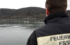 Feuerwehr Essen: FW-E: Schwanenpärchen ergreift Flucht vor Rettern