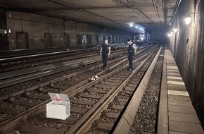 Bundespolizeiinspektion Hamburg: BPOL-HH: Tierischer Rettungs-Einsatz im Bahnhof Altona- "Entenfamilie" auf Abwegen...-