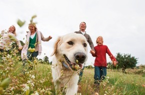 Elanco Deutschland GmbH: Auf die Zecken, fertig, los! / Dieses Halsband schützt Hunde und Katzen bis zu 8 Monate vor Zecken