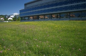 Global Nature Fund: Grüne Vielfalt statt grauem Beton