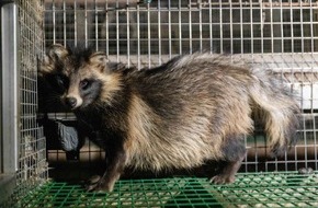 VIER PFOTEN - Stiftung für Tierschutz: QUATRE PATTES sort son rapport de sur la fourrure