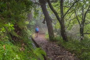 Neue Wege, neue Erlebnisse: Madeiras Schätze abseits des Mainstreams