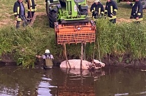 Bundespolizeiinspektion Flensburg: BPOL-FL: Osterstedt - Außergewöhnliche Rettung einer Kuh aus See in Gleisnähe