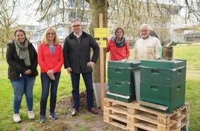 Provinzial Holding AG: Bei der Lippischen ziehen zwei Bienenvölker ein