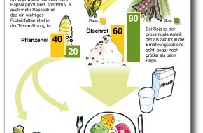 OVID Verband der ölsaatenverarbeitenden Industrie in Deutschland e. V.: Mit Biodiesel auch mehr Nahrungsmittel / Infografik (BILD)