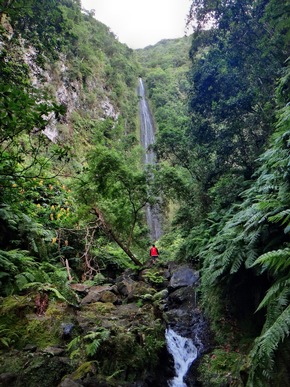 Madeira in Zahlen - 150 Tunnel, 30 Wanderwege, 3.100 Kilometer Levadas und 1.204 verschiedene Pflanzenarten