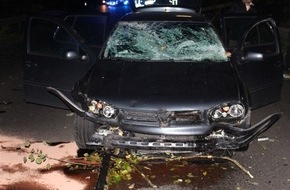 Polizei Gelsenkirchen: POL-GE: Umstürzender Baum trifft Auto in Buer