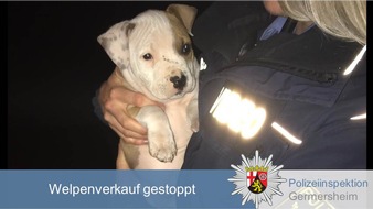 Polizeidirektion Landau: POL-PDLD: Germersheim: Welpenverkauf gestoppt