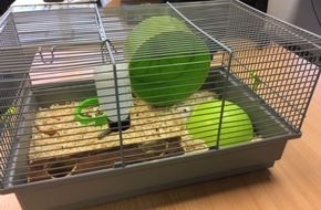 Polizeiinspektion Emsland/Grafschaft Bentheim: POL-EL: Spelle - Hamster im Lidl-Markt zurückgelassen