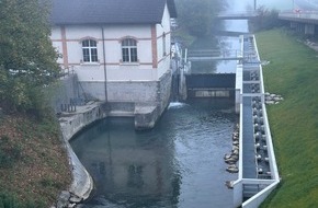St.Gallisch-Appenzellische Kraftwerke AG: Medienmitteilung: SAK verbessert Fischwanderung beim Wasserkraftwerk Blatten am Rheintaler Binnenkanal