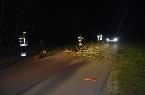 Polizeiinspektion Nienburg / Schaumburg: POL-NI: Zwei Bäume mutwillig gekappt. Straße zwischen Bolsehle und Schneeren blockiert.