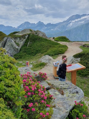 Geologie live am Grossen Aletschgletscher: der neue Geologiesteg Moosfluh ist eröffnet!