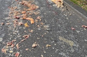 Feuerwehr München: FW-M: Tierische Sauerei (Isarvorstadt)