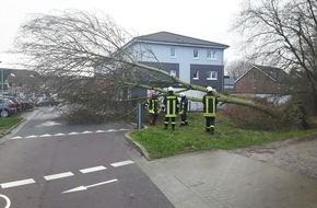 Feuerwehr Dorsten: FW-Dorsten: Erste Bilanz nach dem Sturmtief "Friederike" der Feuerwehr Dorsten