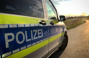 Polizei Mettmann: POL-ME: Pedelecfahrer gestürzt - Polizei sucht Zeugin 2505004