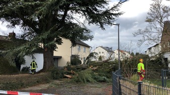 Feuerwehr Bergisch Gladbach: FW-GL: Durchweg positive Bilanz der Einsatzkräfte nach Sturmtief Sabine - Relativ wenig Schäden im Stadtgebiet, Aufräumarbeiten laufen