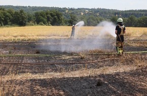 Feuerwehr Essen: FW-E: Feuerwehr löscht mehrere Flächenbrände - rund 1000 Quadratmeter Fläche brennen im Westviertel