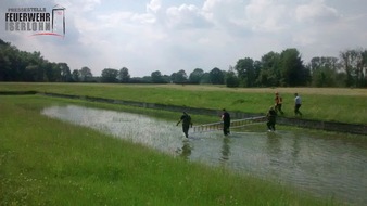 Feuerwehr Iserlohn: FW-MK: Tag der Tierrettung