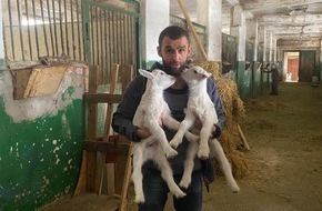 PETA Deutschland e.V.: 1.000 Tage Krieg: wie PETA und Animal Rescue Kharkiv den oft vergessenen Opfern in der Ukraine helfen