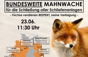 Wildtierschutz Deutschland e.V.: Umgang mit Füchsen oft nicht tierschutzgerecht - bundesweite Mahnwachen