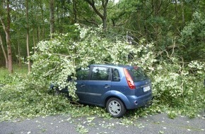 Polizeiinspektion Northeim: POL-NOM: Baum stürzte auf PKW
