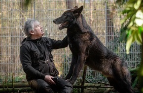 ZDF: "Der mit dem Wolf lebt": "37°" im ZDF über einen Aussteiger und Wolfsschützer / Vom Familienvater zum Rudel-Chef